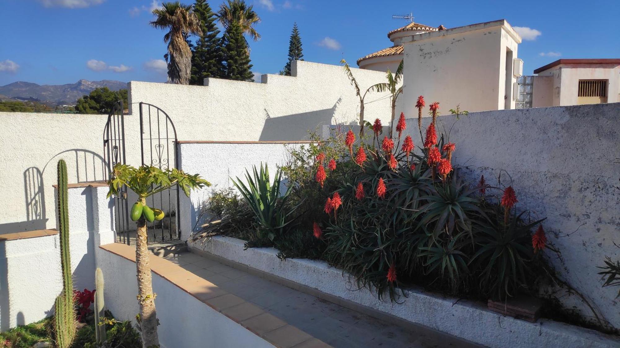 A Little Paradise With Super Views In Almuñécar Εξωτερικό φωτογραφία